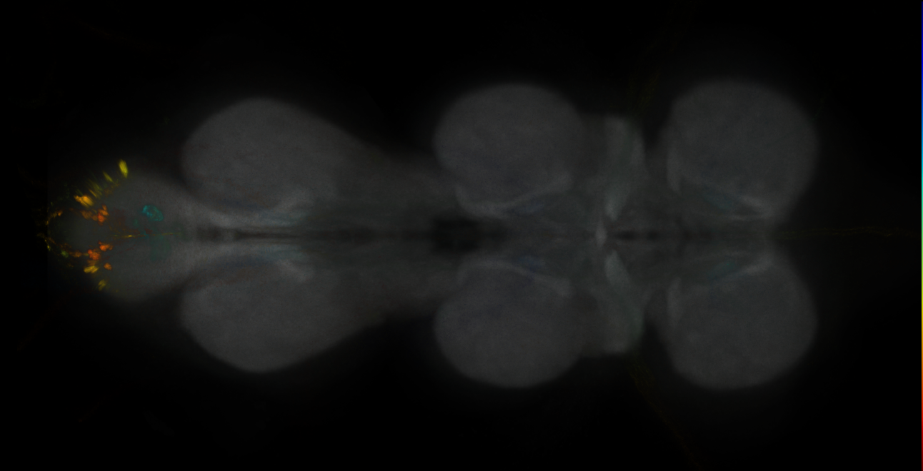 JRC_MB194B_VNC_2020__5