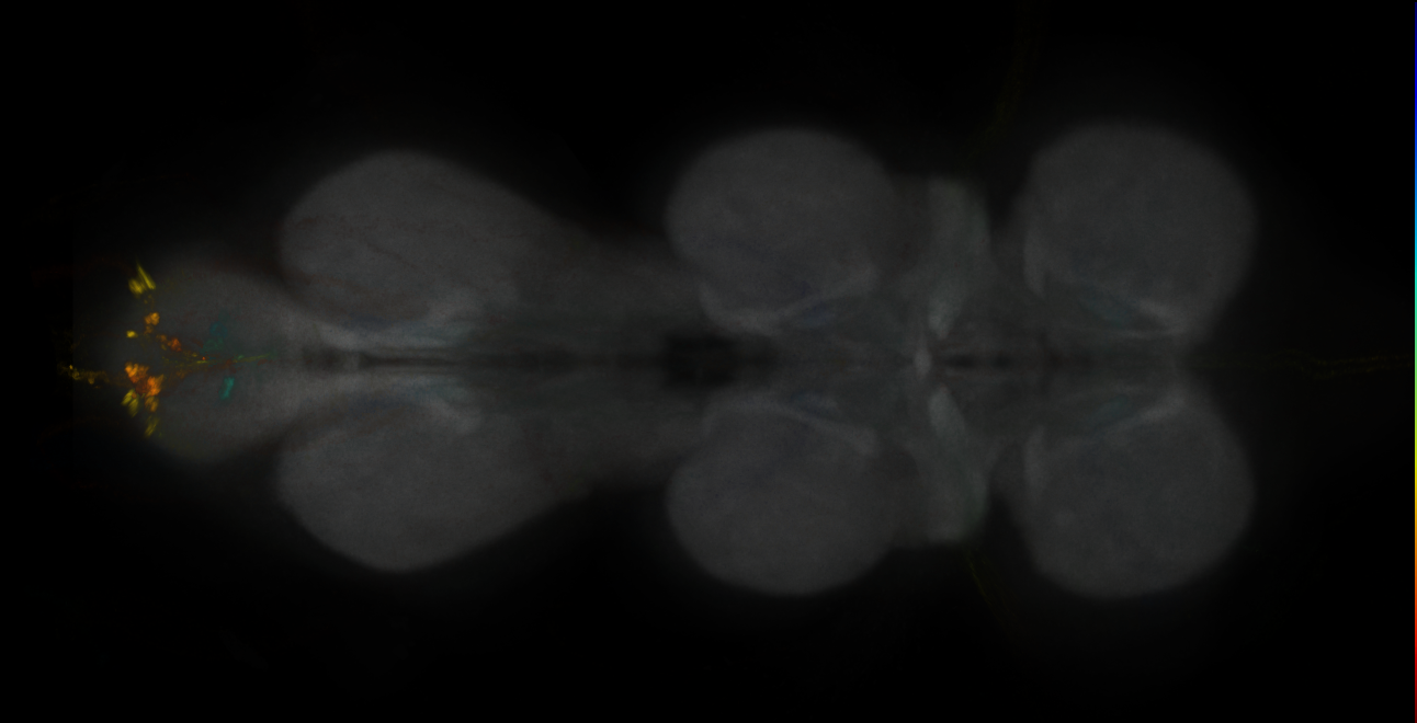 JRC_MB194B_VNC_2020__6
