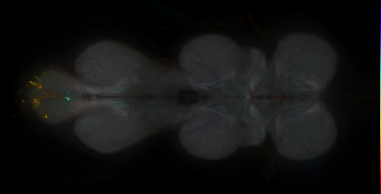 JRC_MB310C_VNC_2020__1