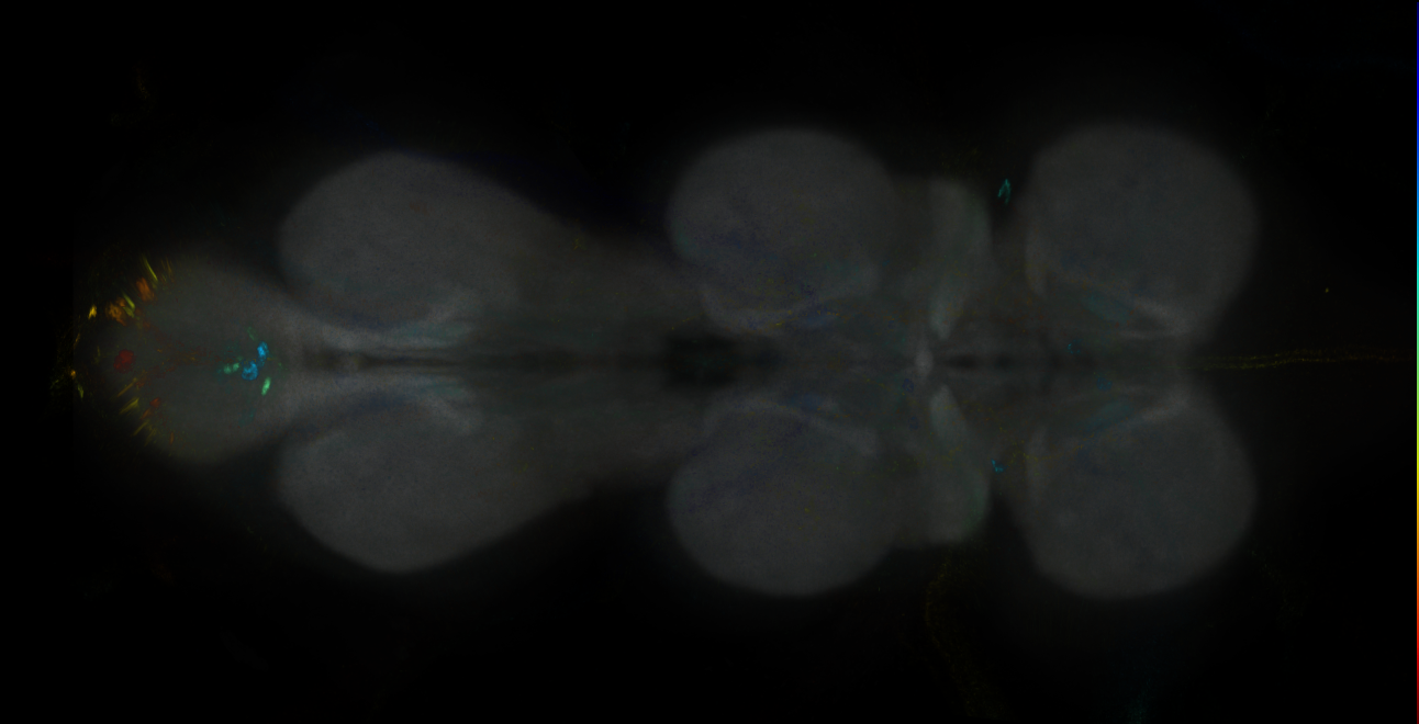 JRC_MB504B_VNC_2020__1
