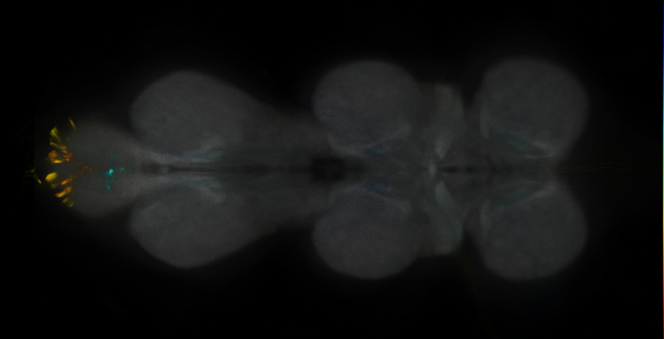 JRC_MB060B_VNC_2020__1