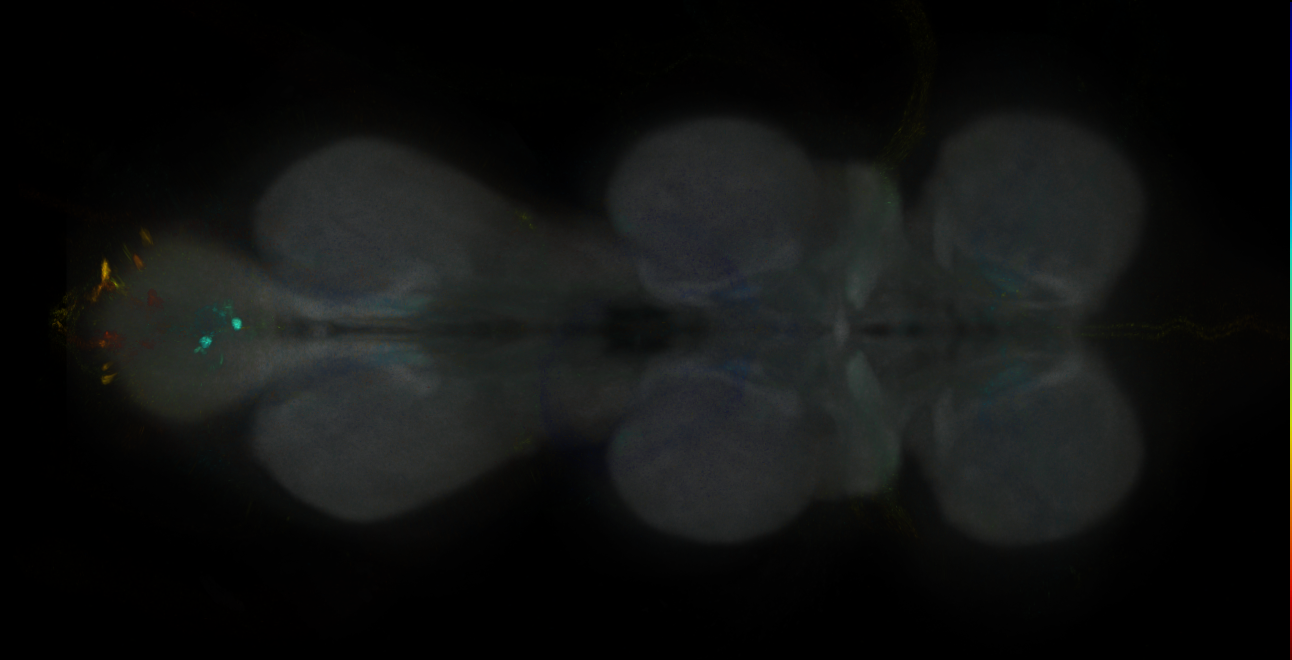 JRC_MB060B_VNC_2020__2
