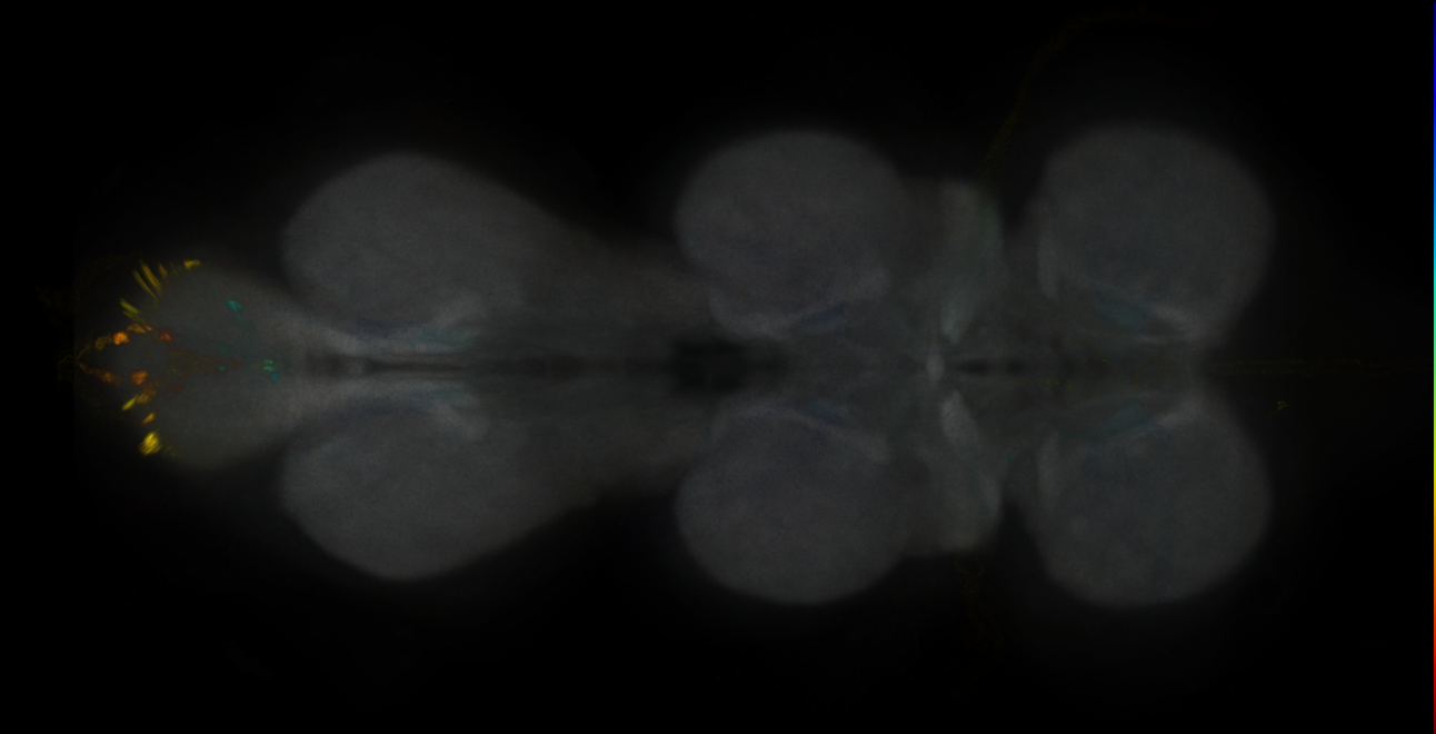 JRC_MB304B_VNC_2020__1