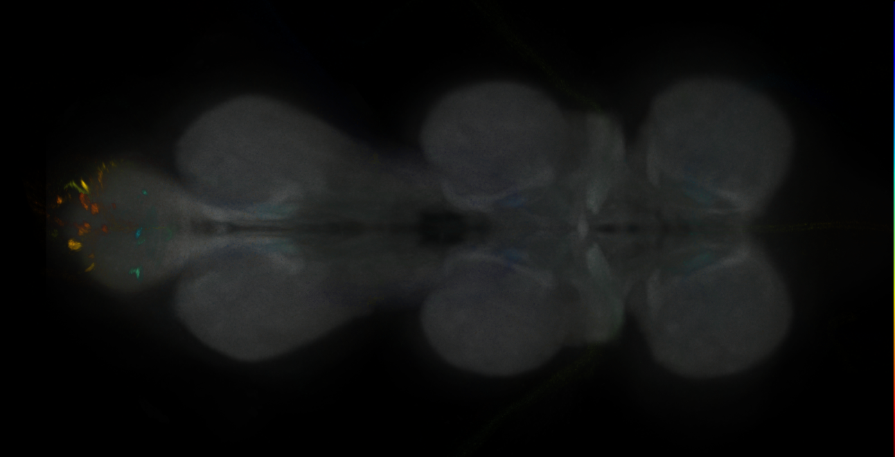 JRC_MB304B_VNC_2020__2