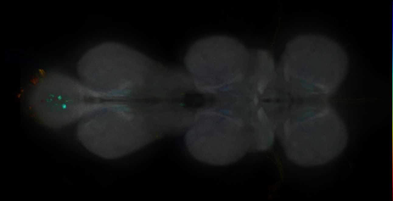 JRC_MB304B_VNC_2020__3