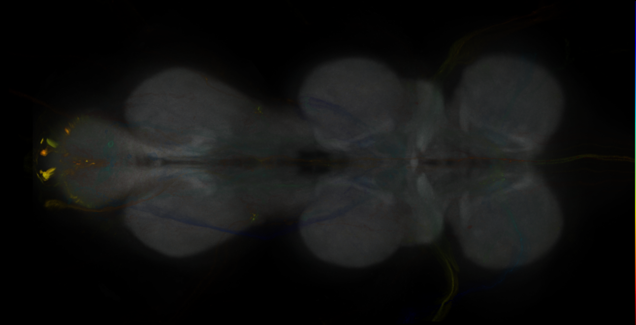 JRC_MB060B_VNC_2020__3