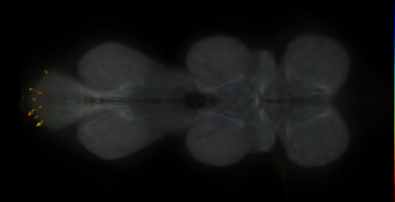 JRC_MB441B_VNC_2020__1