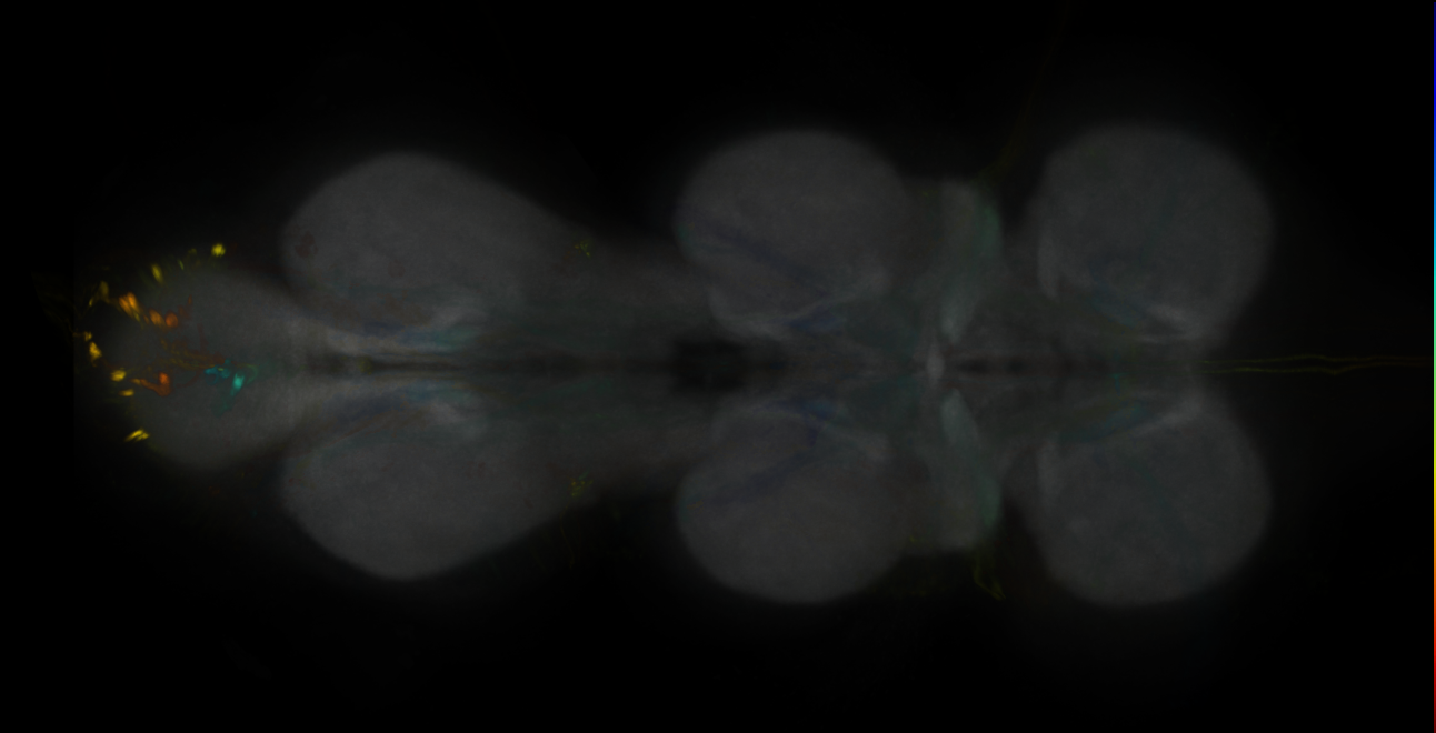 JRC_MB441B_VNC_2020__2