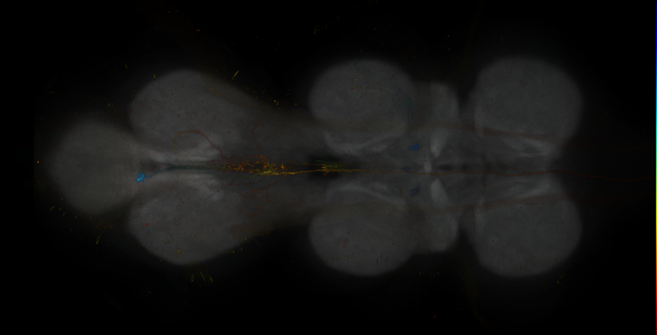 JRC_MB213B_VNC_2020__5