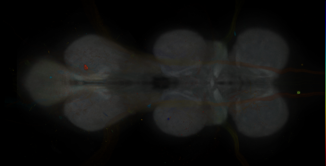 JRC_MB047B_VNC_2020__4