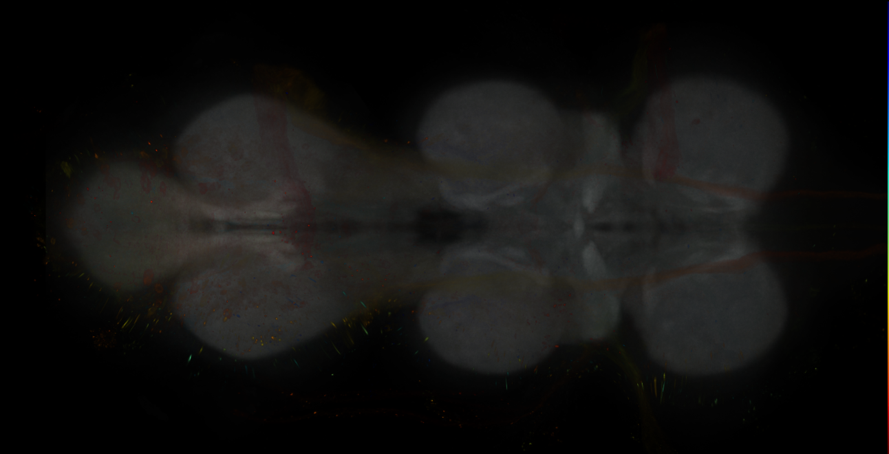 JRC_MB109B_VNC_2020__5