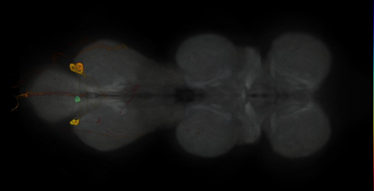 JRC_MB364B_VNC_2020__1