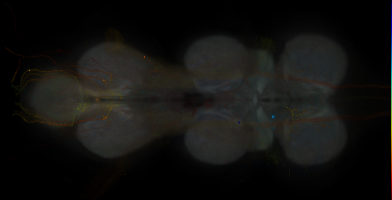 JRC_MB057B_VNC_2020__2