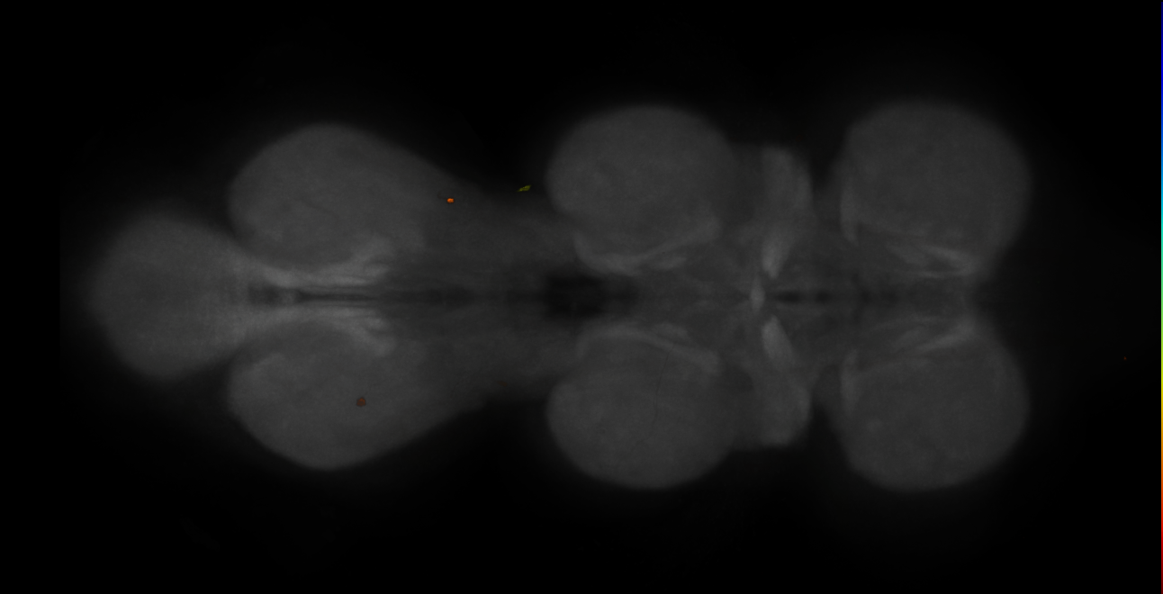 JRC_MB112C_VNC_2020__1