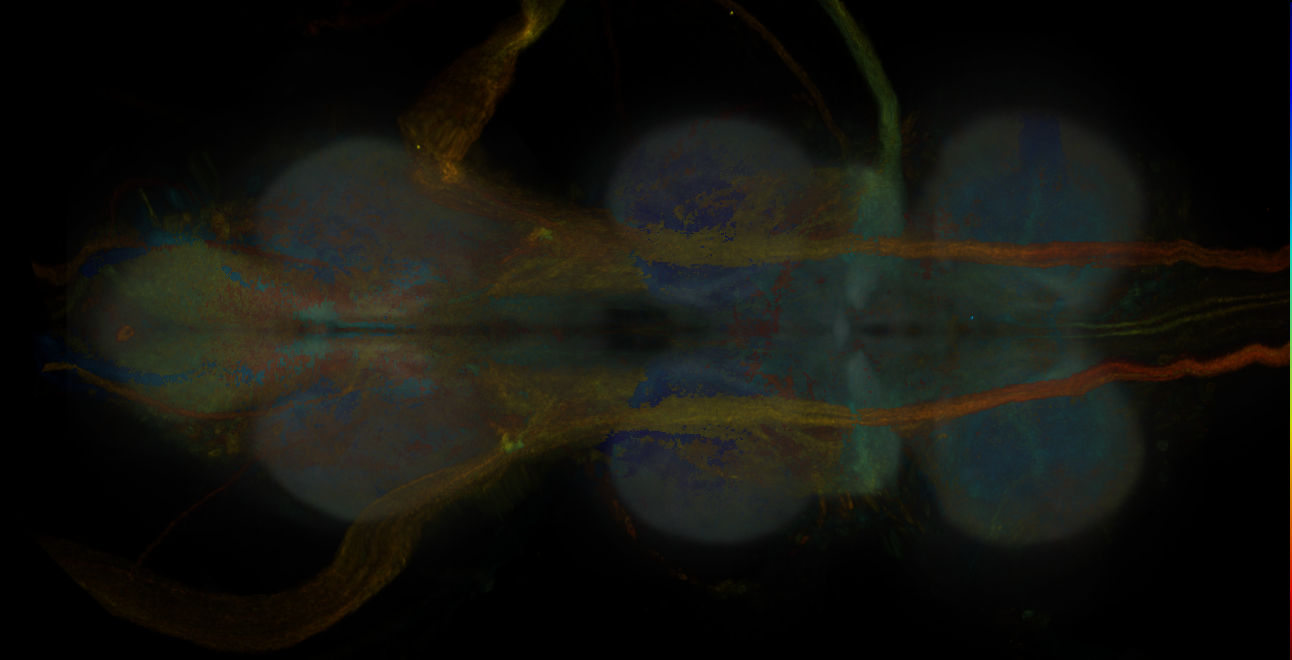 JRC_MB083C_VNC_2020__3