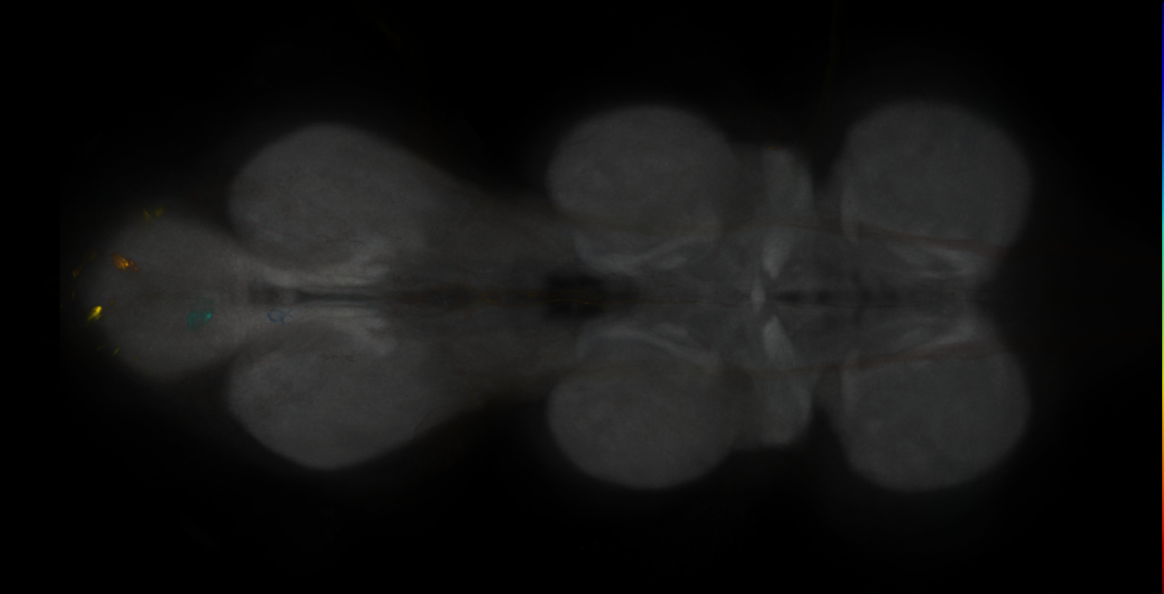 JRC_MB058B_VNC_2020__2