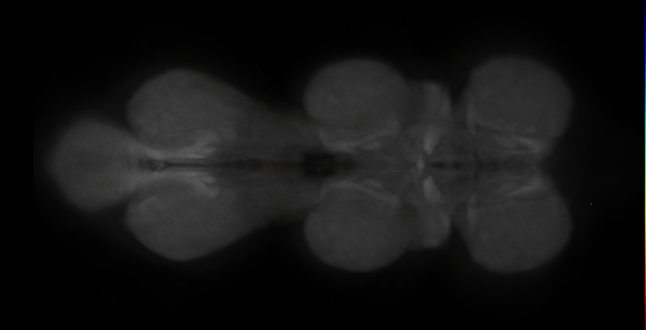 JRC_MB060B_VNC_2020__4