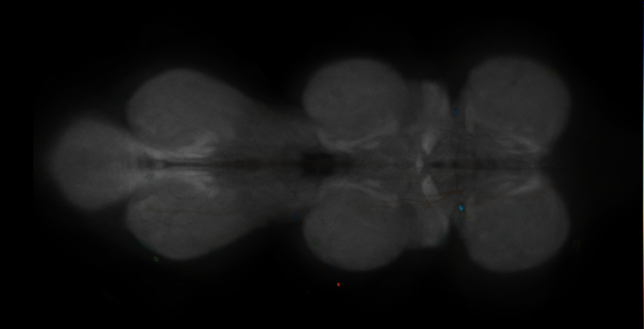 JRC_MB296B_VNC_2020__5