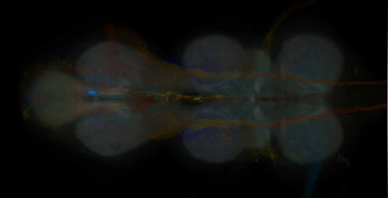 JRC_MB065B_VNC_2020__3