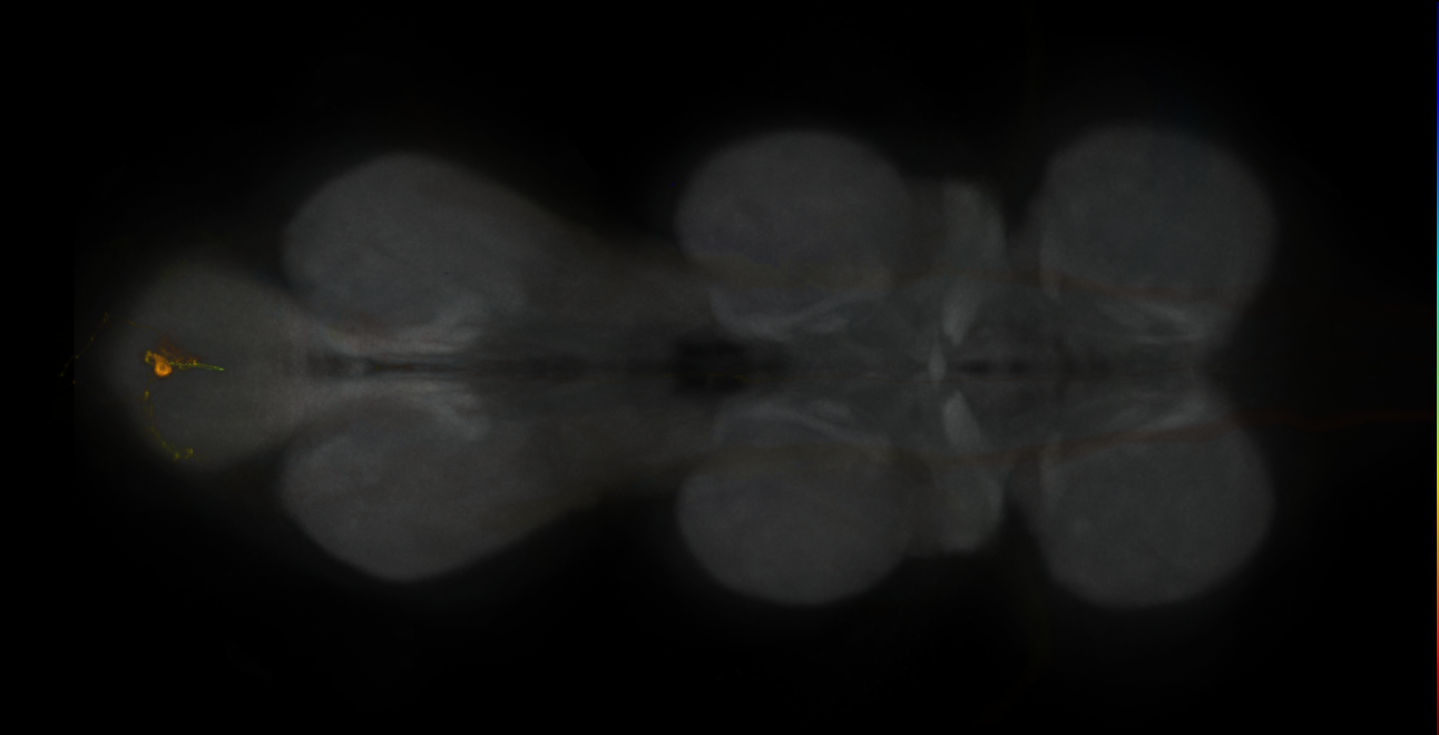JRC_MB065B_VNC_2020__4