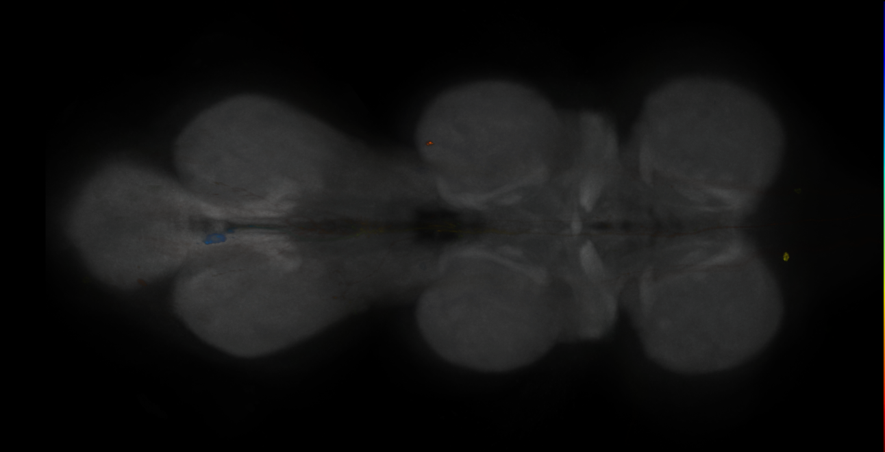 JRC_MB304B_VNC_2020__4