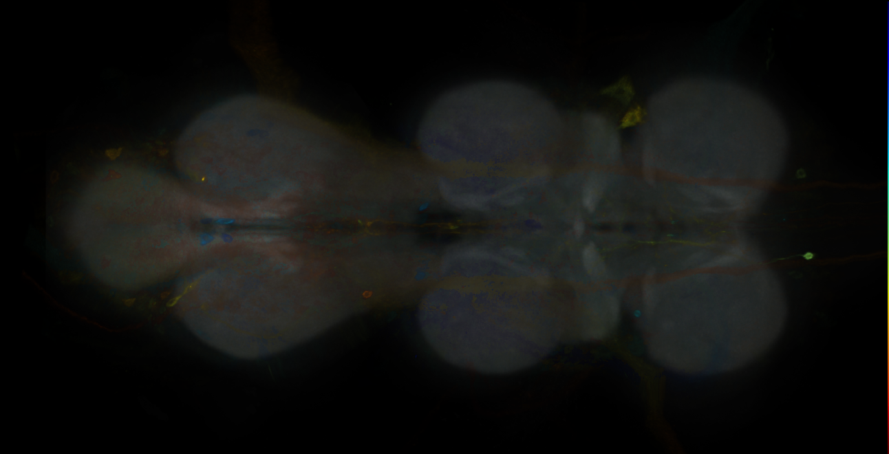 JRC_MB304B_VNC_2020__5