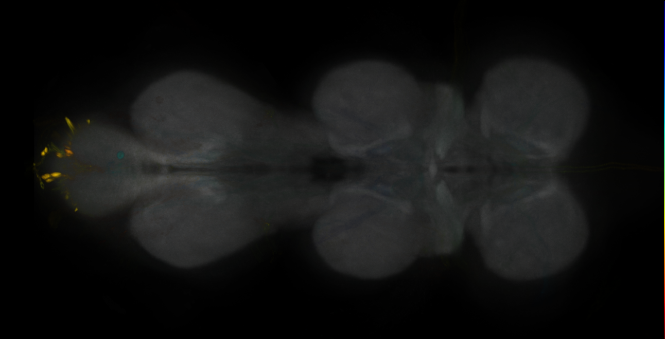 JRC_MB042B_VNC_2020__6