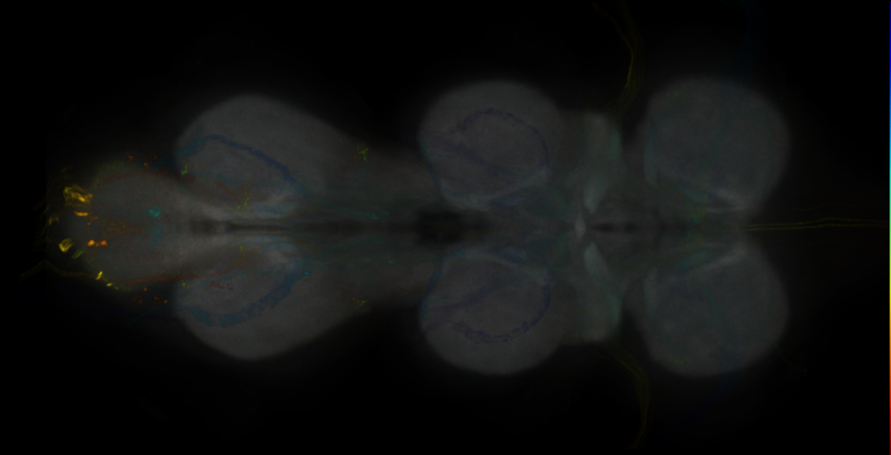 JRC_MB043C_VNC_2020__1