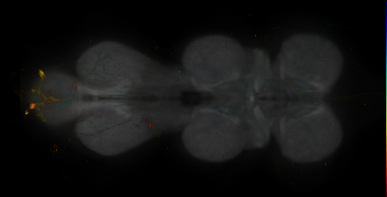 JRC_MB112C_VNC_2020__2