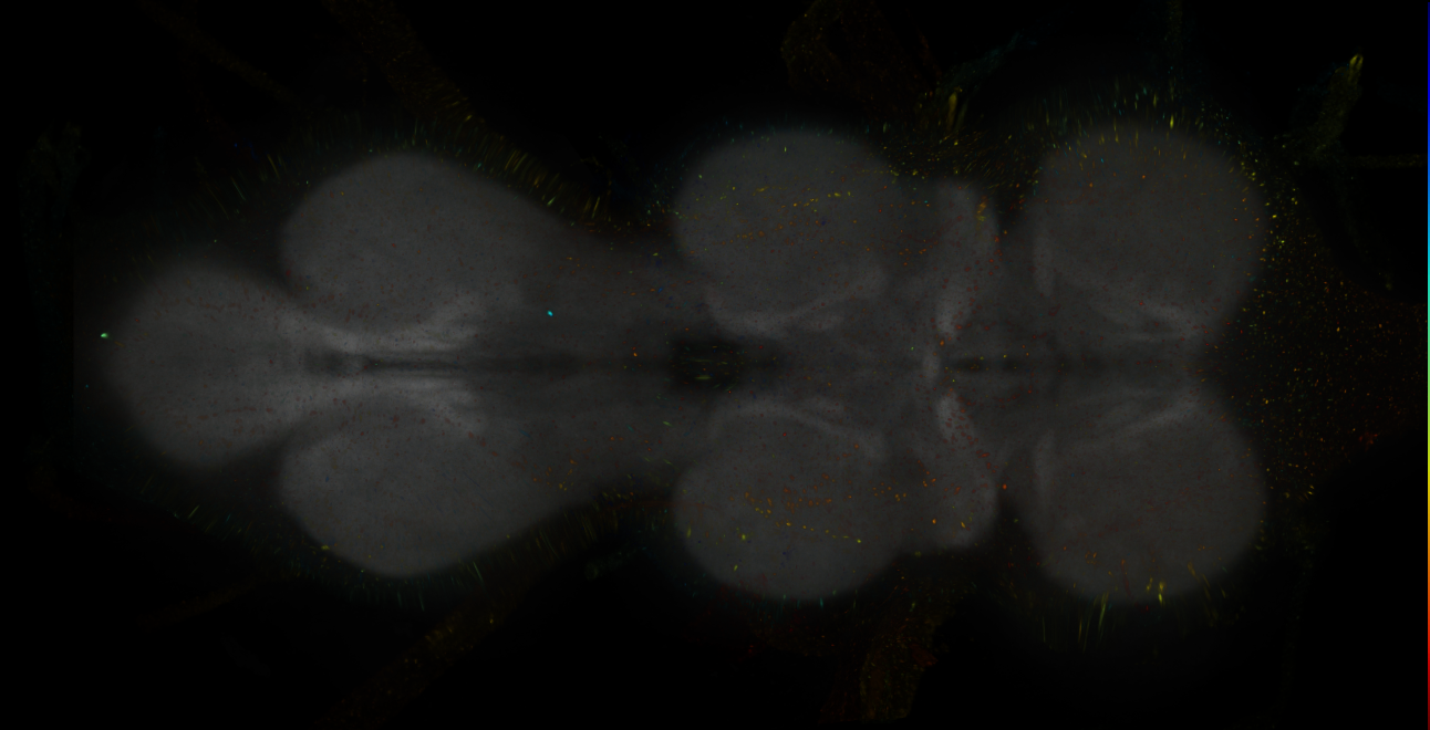 JRC_MB011B_VNC_2020__3