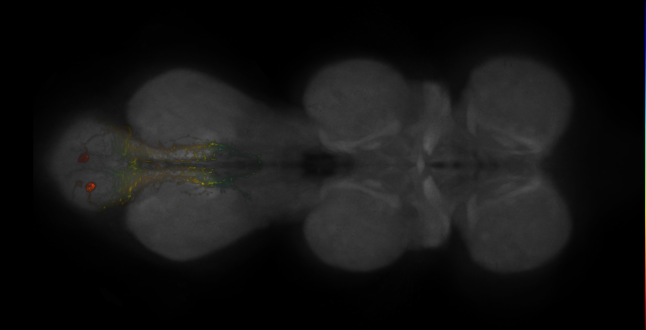 JRC_MB082C_VNC_2020__6