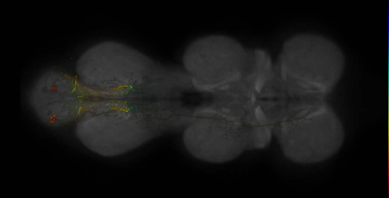 JRC_MB082C_VNC_2020__7