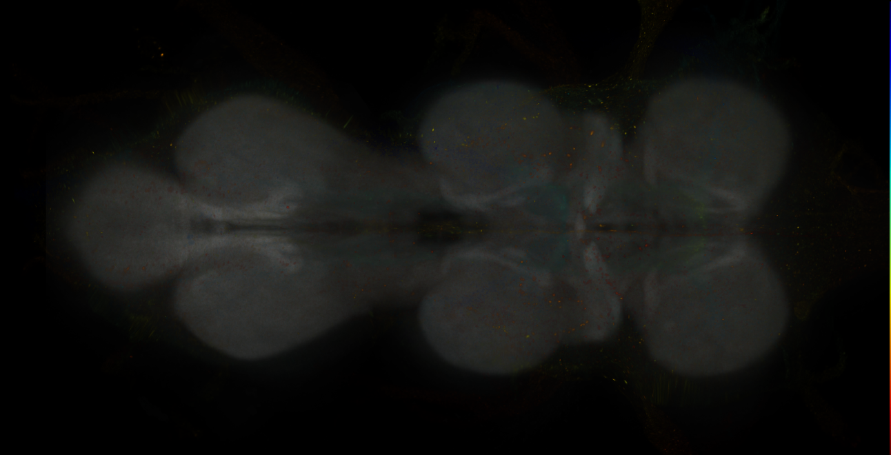 JRC_MB077B_VNC_2020__6