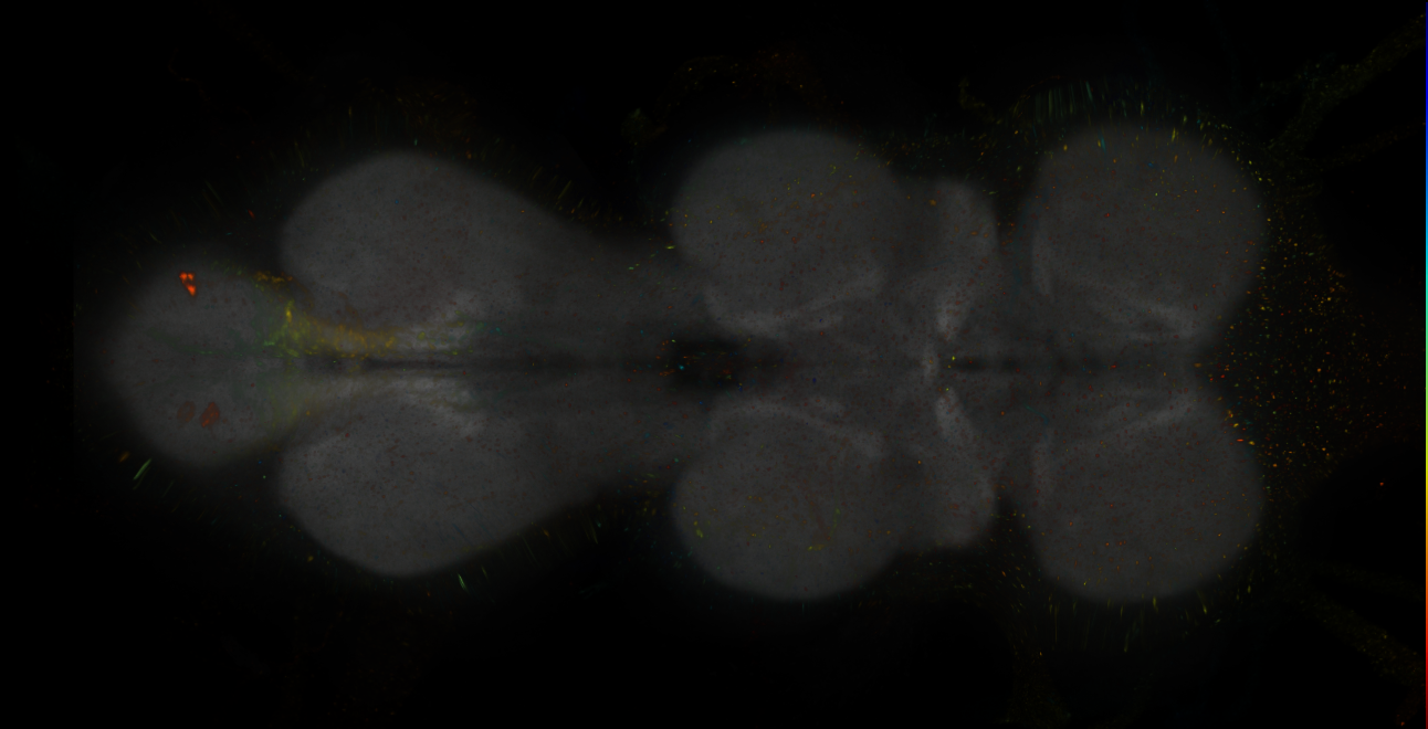 JRC_MB082C_VNC_2020__8