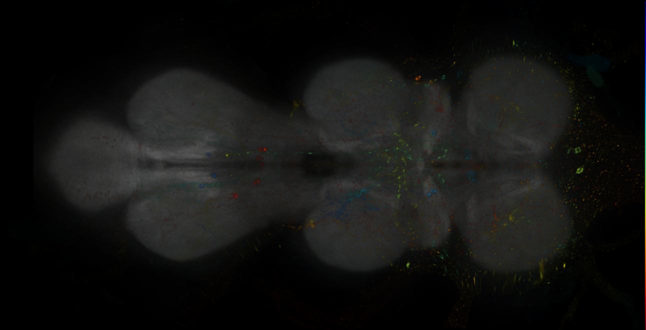 JRC_MB093C_VNC_2020__4