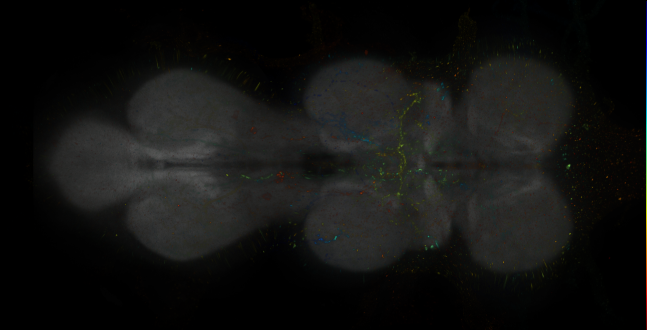 JRC_MB093C_VNC_2020__5