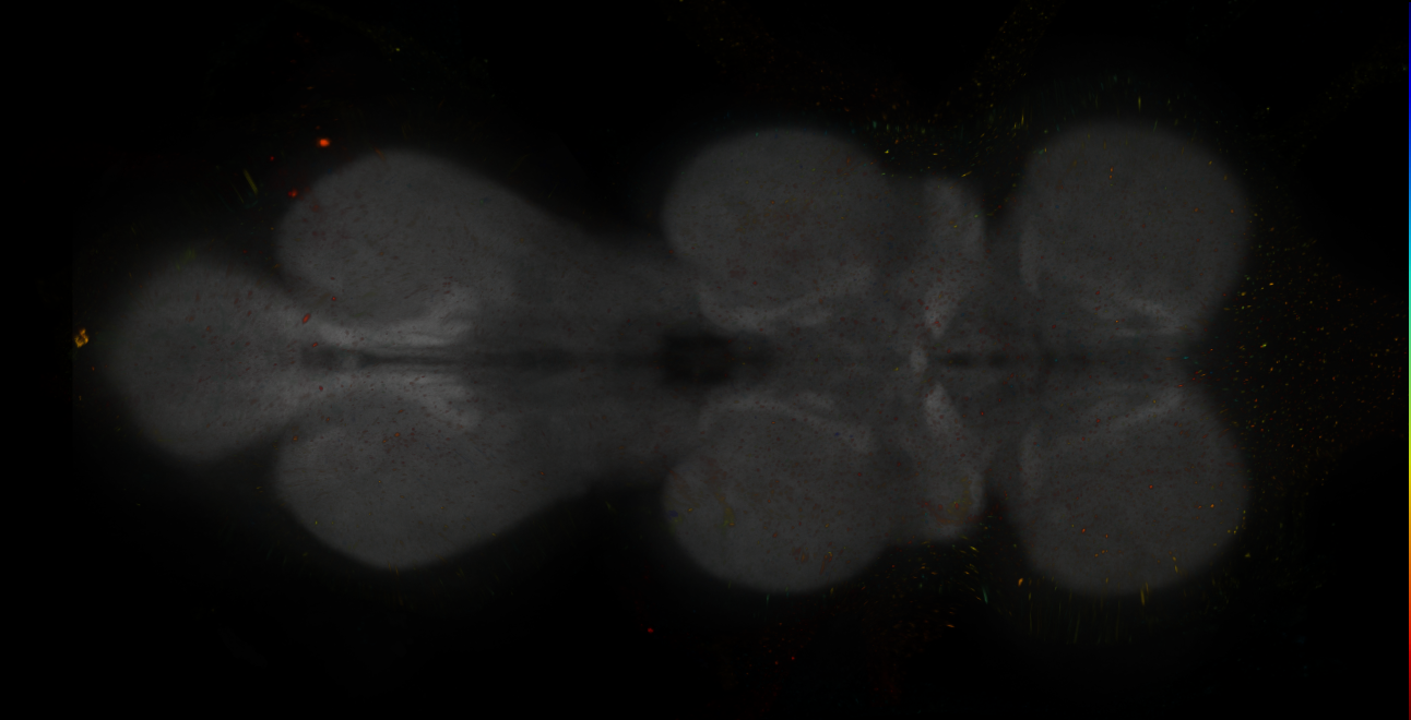JRC_MB242A_VNC_2020__5