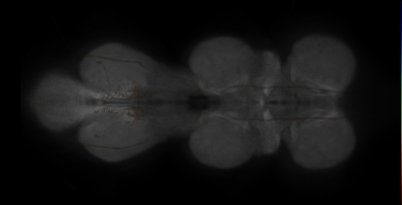 JRC_MB310C_VNC_2020__4