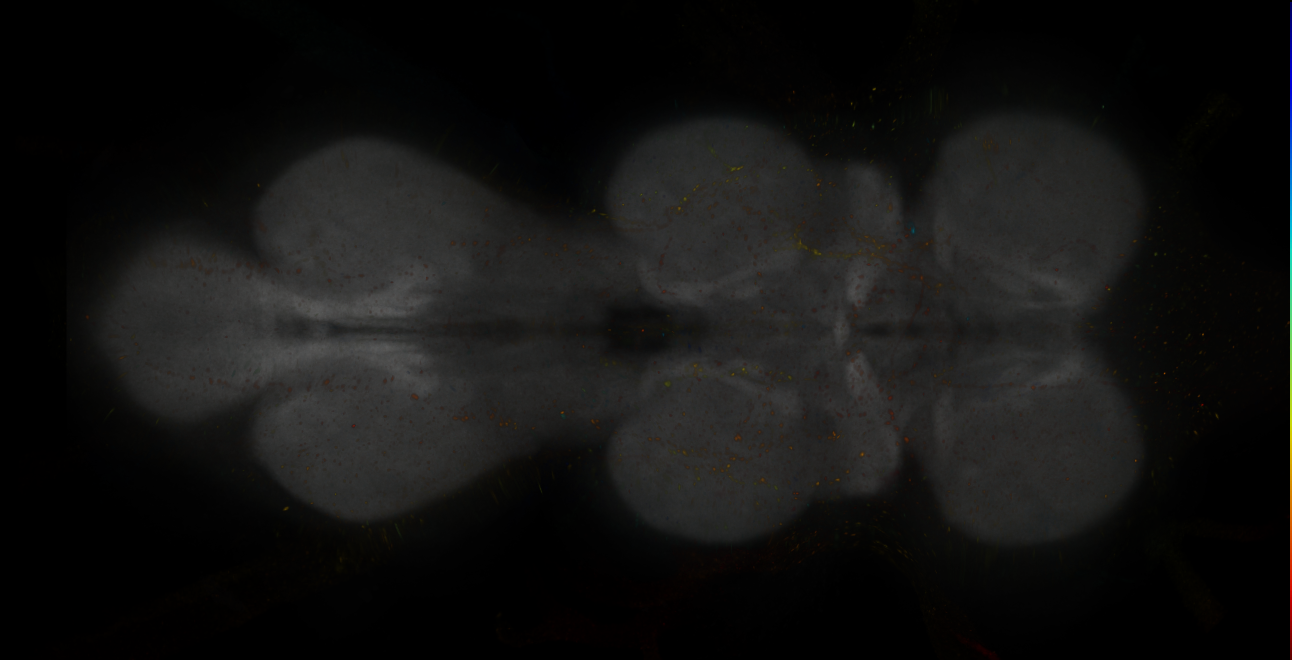 JRC_MB607B_VNC_2020__2