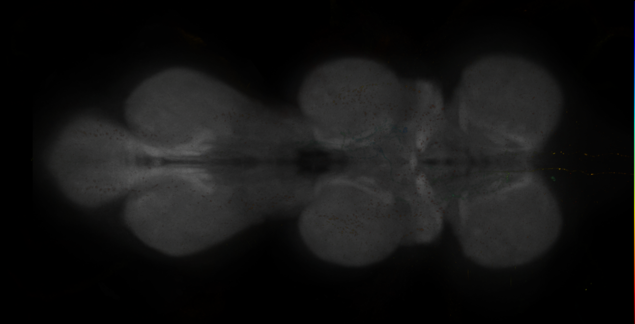 JRC_MB418B_VNC_2020__2