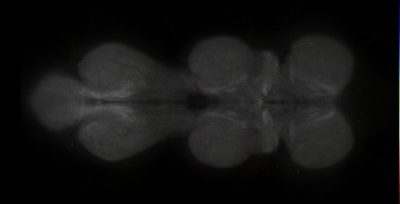 JRC_MB371B_VNC_2020__3