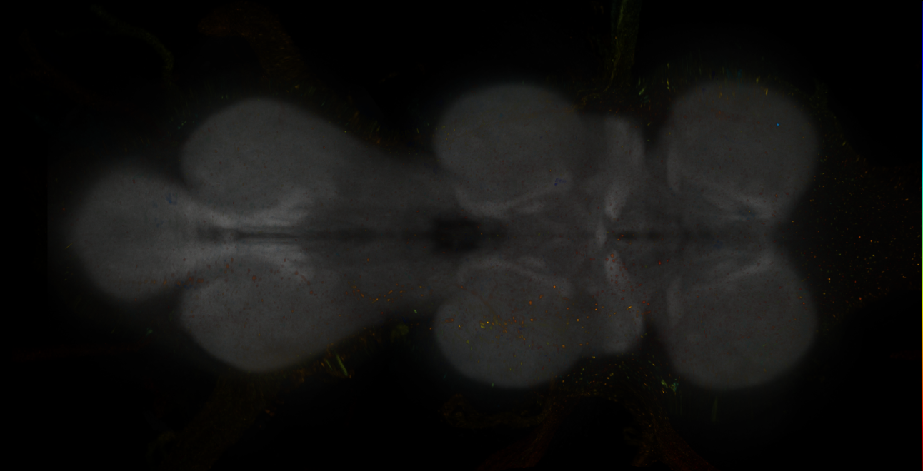 JRC_MB371B_VNC_2020__4