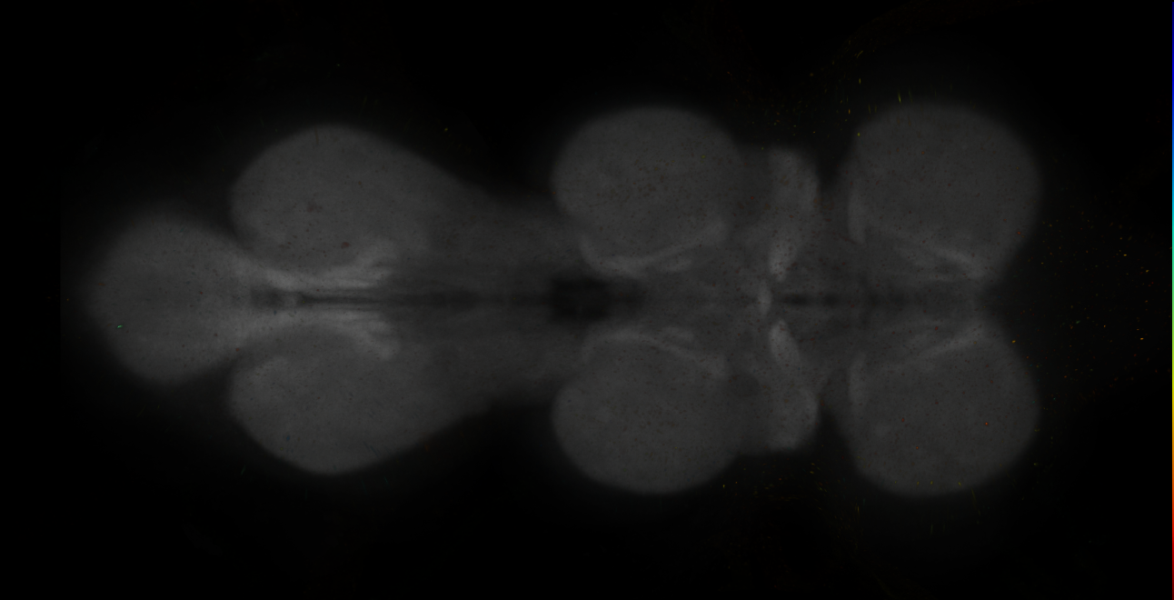 JRC_MB050B_VNC_2020__1