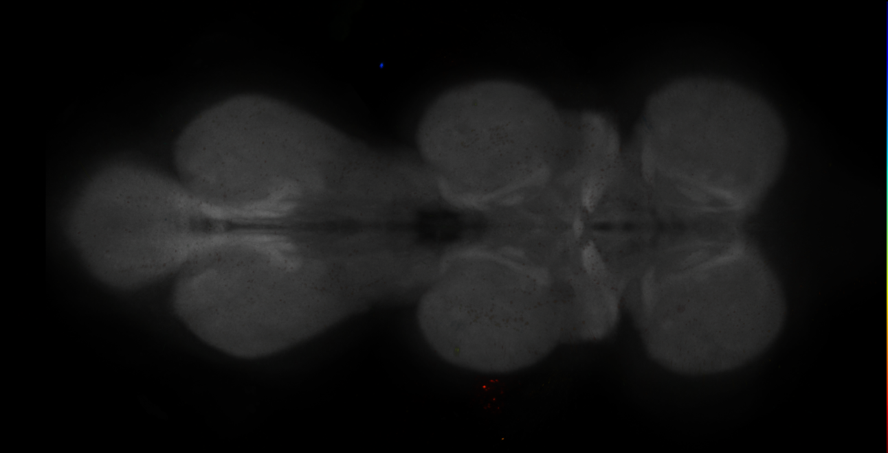 JRC_MB542B_VNC_2020__1