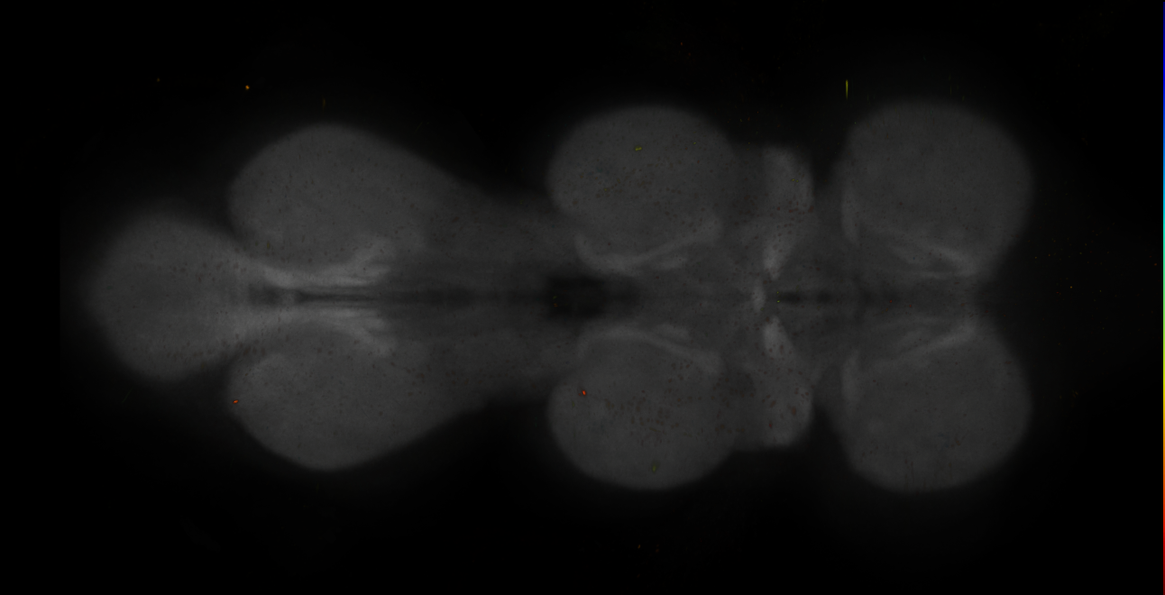 JRC_MB542B_VNC_2020__3
