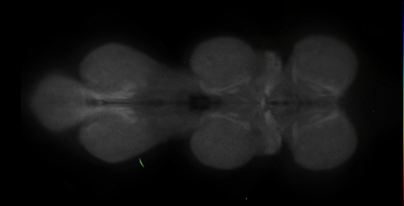 JRC_MB080C_VNC_2020__4