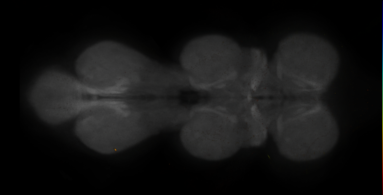 JRC_MB027B_VNC_2020__6