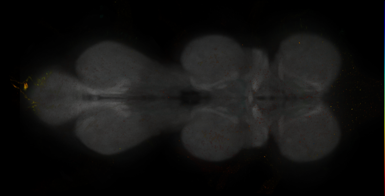 JRC_MB011B_VNC_2020__4