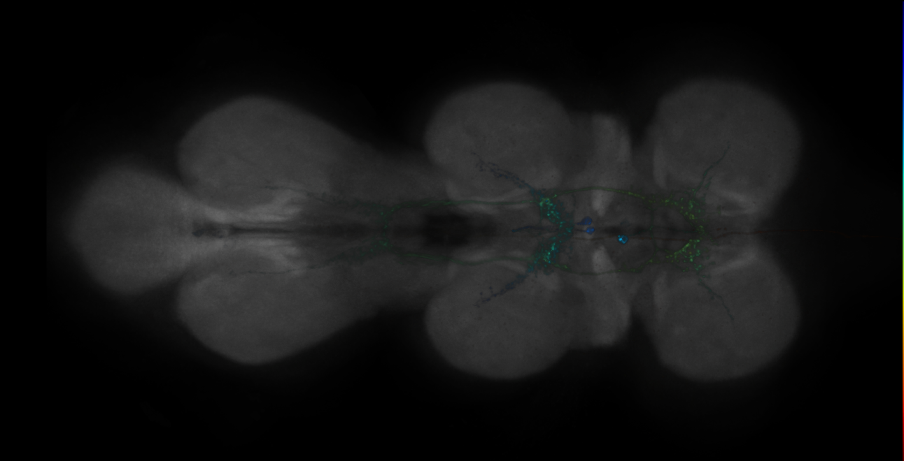 JRC_MB018B_VNC_2020__6