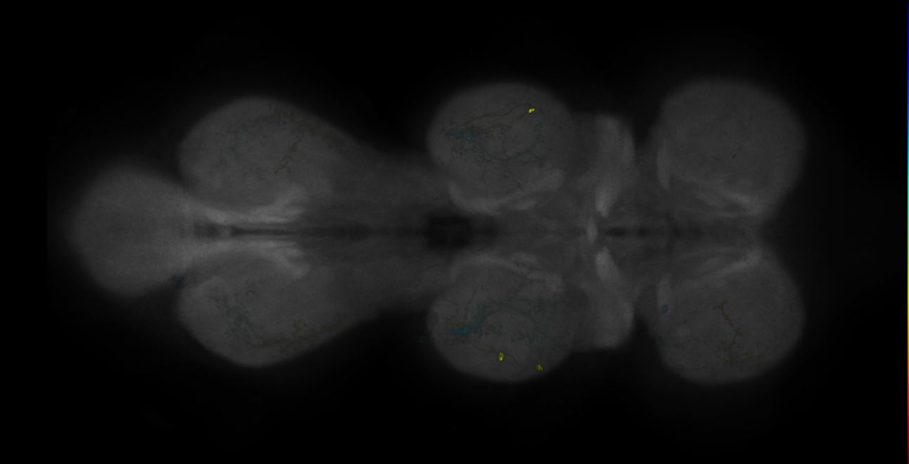 JRC_MB542B_VNC_2020__6